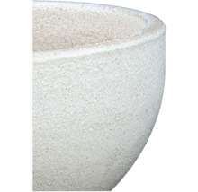 Detailaufnahme einer Pflanzschale