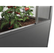 Hochbeet mit Tomatenpflanzen