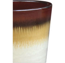 Vue détaillée d'un pot de fleurs multicolore