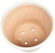 Blumentopf aus Terrakotta mit Drainagelöchern