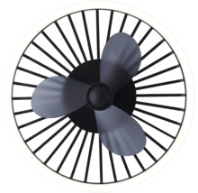 Ventilateur de plafond avec éclairage
