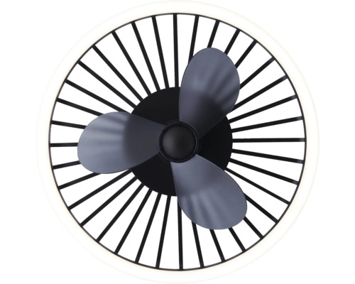 Ventilateur de plafond avec éclairage
