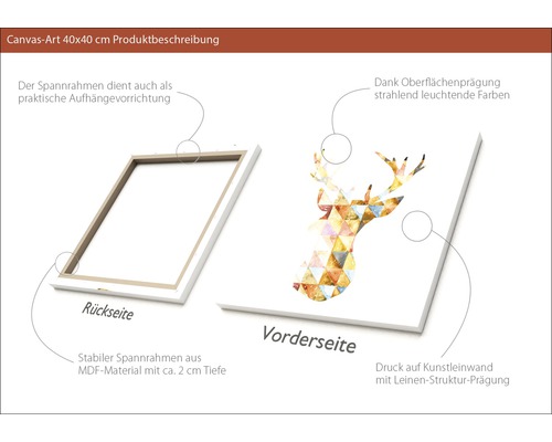 Leinwandbild 40x40 Zentimeter mit Hirschmotiv, Rückseite mit MDF Rahmen