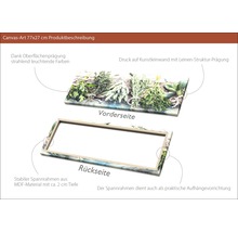 Leinwandbild Herbs on wood 27x77 cm