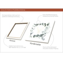 Leinwandbild 40x40 cm mit Rahmenrückseite und Motivansicht
