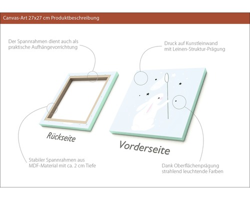 Canvasbild 27 mal 27 Zentimeter mit Hasenmotiv, Vorder- und Rückseite dargestellt