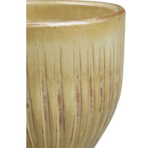 Vue détaillée d'un cache-pot en céramique avec une surface rainurée