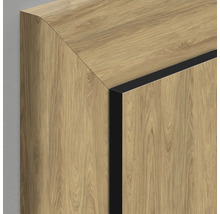 Vue détaillée d'une armoire avec une structure en bois et des bords sombres