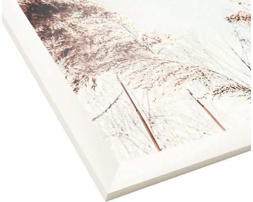 Vue détaillée d''une image encadrée avec une représentation d''herbes