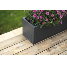 Grauer Pflanzkasten mit blühenden Blumen auf einer Holzterrasse