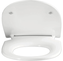 Abattant de toilette