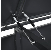 Detailaufnahme der Gasdruckfeder einer Aufbewahrungsbox.