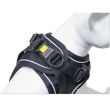 Hundegeschirr mit verstellbaren Riemen