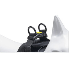 Detailansicht eines Hundegeschirrs mit Ringen und Gurtband