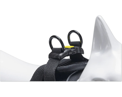 Detailansicht eines Hundegeschirrs mit Ringen und Gurtband