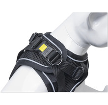 Schwarzes Hundegeschirr am Hundehals