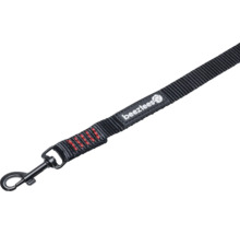 Beetztees Logo auf einer Hundeleine mit Karabinerhaken