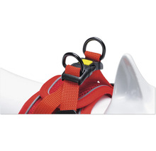 Detailansicht eines roten Hundegeschirrs mit schwarzen Ringen