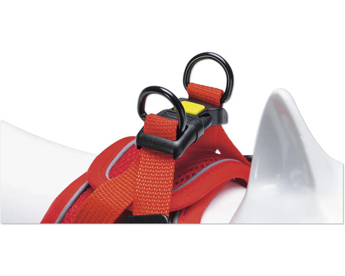 Detailansicht eines roten Hundegeschirrs mit schwarzen Ringen