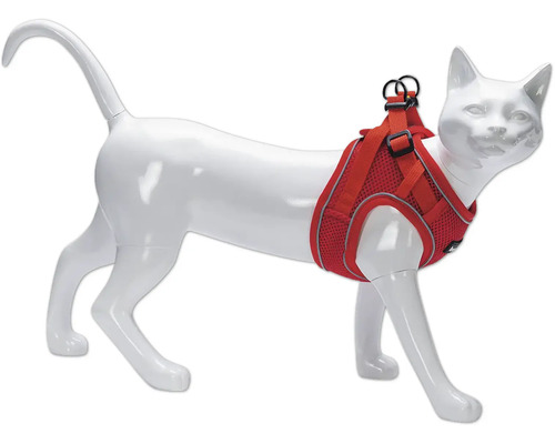 Rotes Katzengeschirr an einer Katzenpuppe