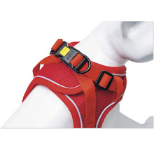 Hundegeschirr mit verstellbaren Riemen