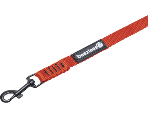 Hundeleine aus Nylon mit Karabinerhaken und Beeztees Logo