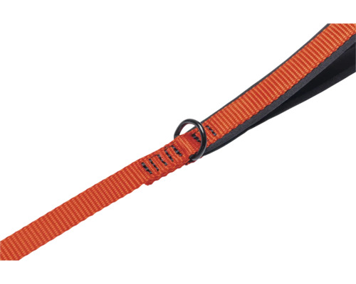 Orangefarbene Zuggurt mit Metallring für Hunde