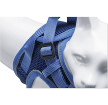 Blaues Katzengeschirr auf einer Katzenbüste