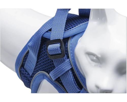 Blaues Katzengeschirr auf einer Katzenbüste