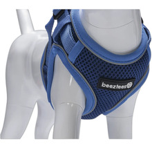 Blaues Hundegeschirr am Dummy