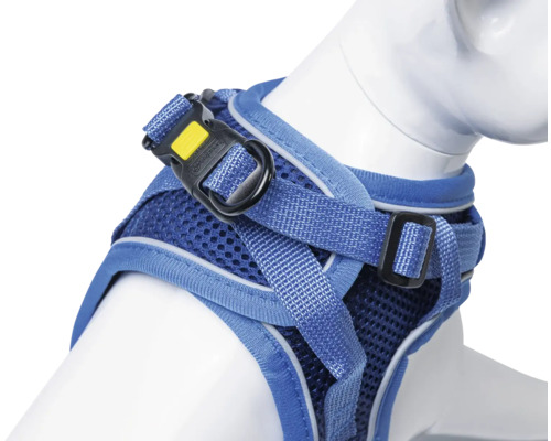 Blaues Hundegeschirr mit verstellbaren Riemen und Schnalle.