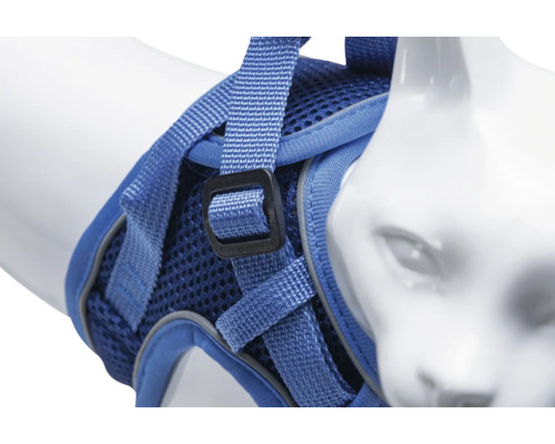 Blaue Katzengeschirr mit verstellbarem Riemen