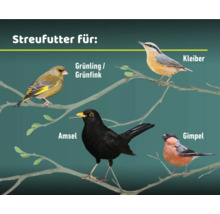 Illustration verschiedener Vogelarten: Grünfink, Kleiber, Amsel und Gimpel