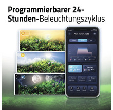 Programmierbarer 24-Stunden-Beleuchtungszyklus für ein Aquarium, dargestellt mit einer Smartphone-App zur Steuerung von Tageslicht, Nachtlicht, Sonnenaufgang, Sonnenuntergang und Schlafmodus.