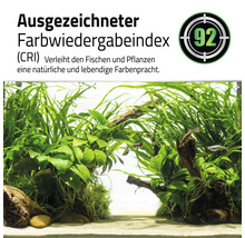 Aquarium mit Fischen und Wasserpflanzen, Farbwiedergabeindex von 92.
