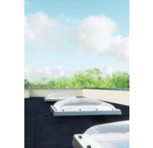 Mehrere Oberlichter auf einem Dach mit Himmel und Bäumen im Hintergrund