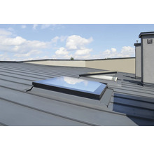 Dach mit Dachfenstern und Kamin