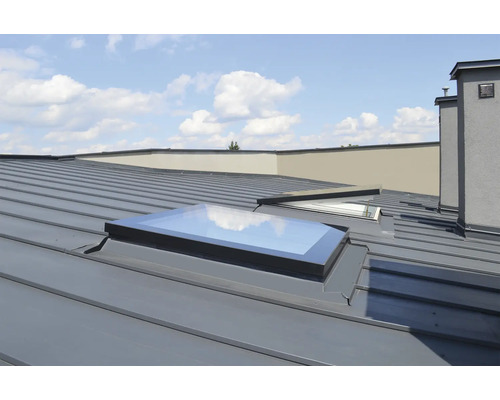 Dach mit Dachfenstern und Kamin