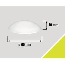 Produktzeichnung mit Durchmesser 60 mm und Höhe 10 mm