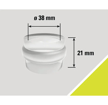Möbelfuß Stopfen mit den Maßen Durchmesser 38 Millimeter und 21 Millimeter Höhe