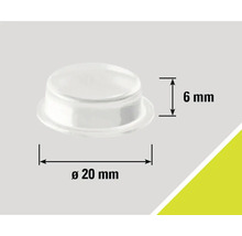Möbelgleiter, Durchmesser 20 Millimeter, Höhe 6 Millimeter