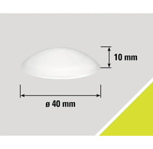 Halbkugelförmige Abdeckung mit Durchmesser 40 mm und Höhe 10 mm