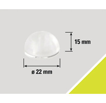 Halbkugelförmiger Möbelgleiter mit den Maßen 22 Millimeter Durchmesser und 15 Millimeter Höhe