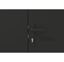 Porte avec poignée de porte et serrure