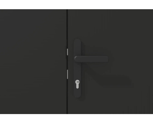 Porte avec poignée de porte et serrure