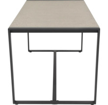 Table de jardin rectangulaire avec un plateau et un cadre en métal