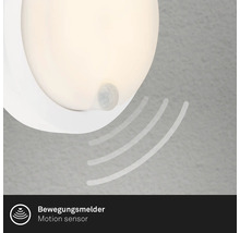 Leuchte mit Bewegungsmelder
