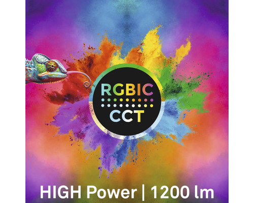 RGBIC CCT Kennzeichnung mit Chamäleon und 1200 Lumen Leistung.