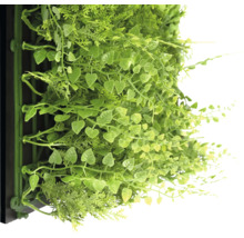 Mur végétal artificiel avec diverses plantes vertes