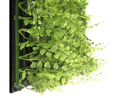 Mur végétal artificiel avec diverses plantes vertes